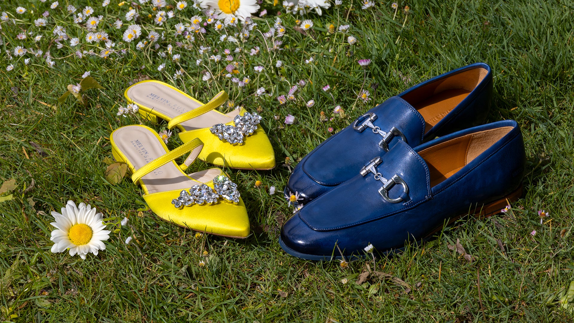 Outlet Shiny Steps Store -Outlet Shiny Steps Store Clive 1 Daphne 1 header